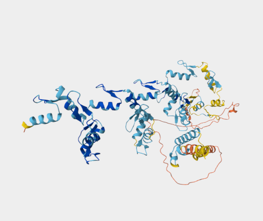 Anti-ZNF699 mAbs