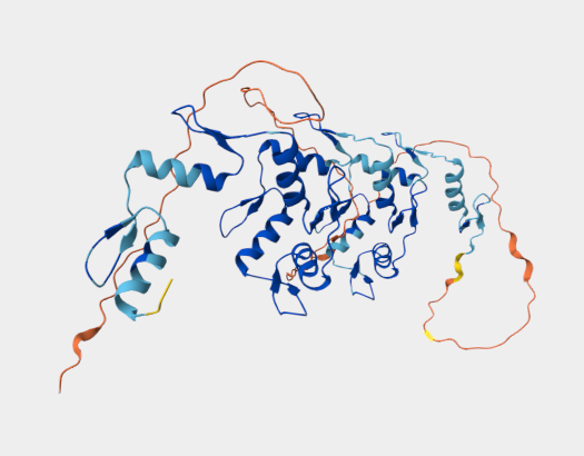 Anti-ZNF70 mAbs