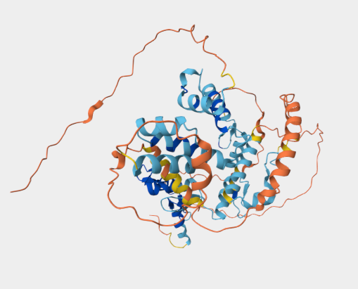 Anti-ZNF75D mAbs