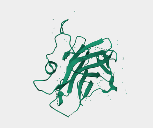 Anti-ZP2 mAbs
