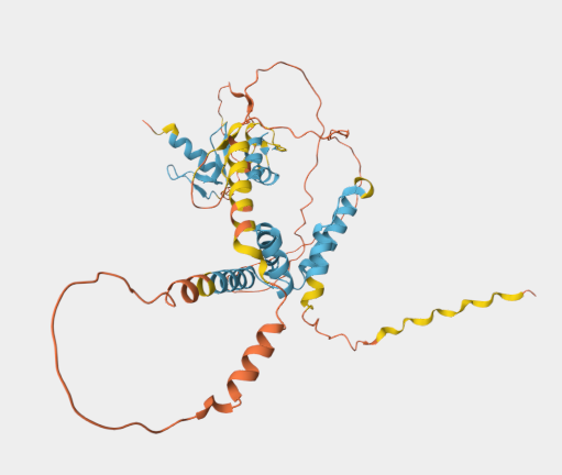 Anti-ZSCAN1 mAbs