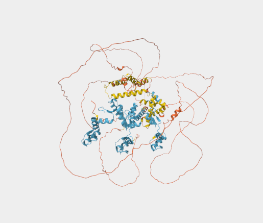 Anti-ZSCAN20 mAbs
