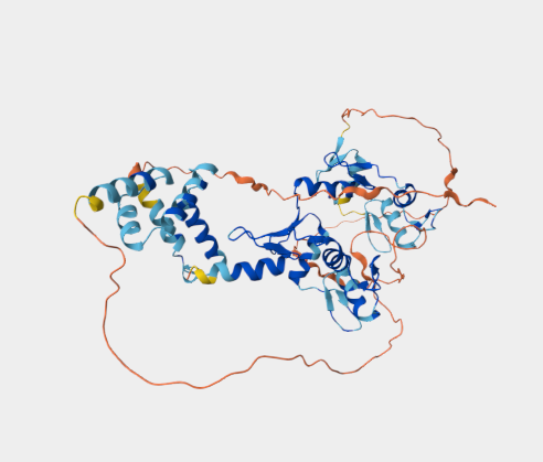 Anti-ZSCAN22 mAbs