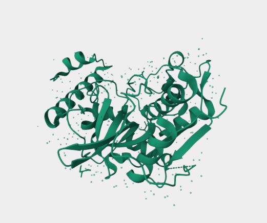 Anti-Der p 1  mAbs