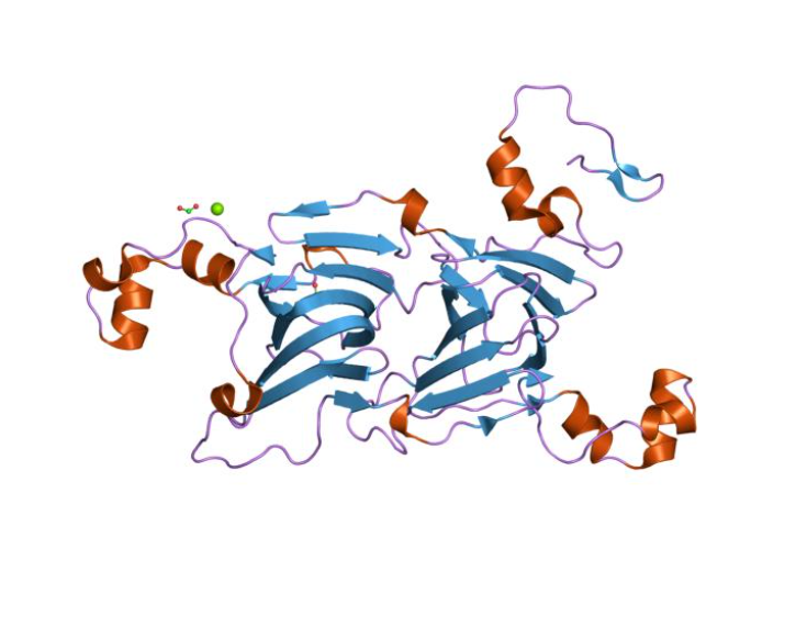 Anti-Peanut   Allergen  mAbs