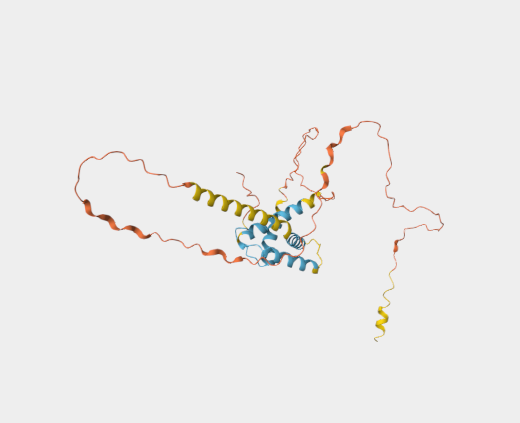 Anti-Gliadin  mAbs