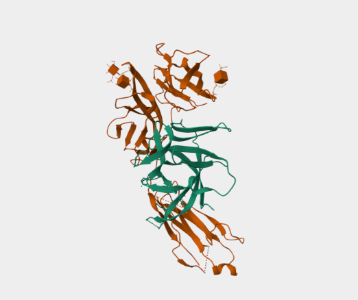 Anti-ST2L  mAbs