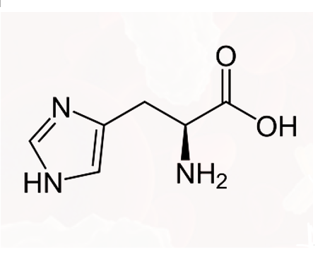 Anti-His tag (C-term) mAbs [3D5](MABL-3416)