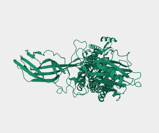 Anti-Rhodopsin mAbs [Rho 1D4](MABL-3419)