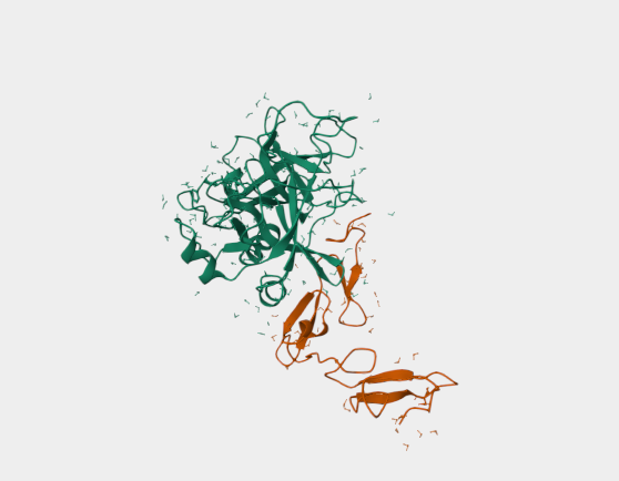 Anti-Protein C mAbs [HPC-4](MA