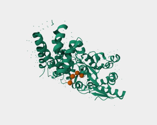 Anti-MBP mAbs [sAb-P1](MABL-3436)