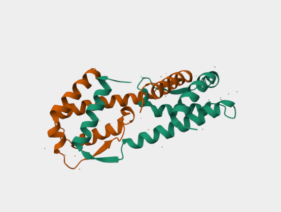 Anti-IL-5 mAbs [JES1-39D10](MABL-3439)