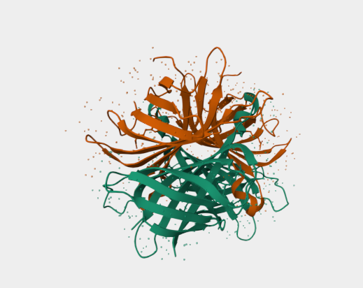 Anti-Strep-Tag II mAbs [C23.21](MABL-3440)
