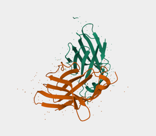 Anti-CTLA-4 [9D9](MABL-3448)
