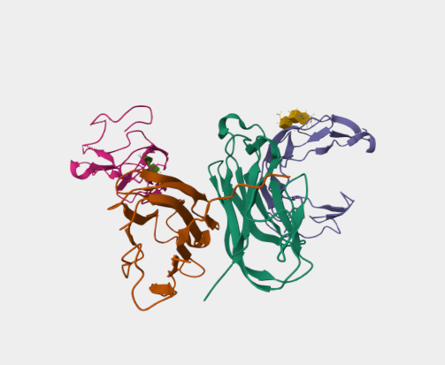 Anti-GITR [DTA-1](MABL-3449)