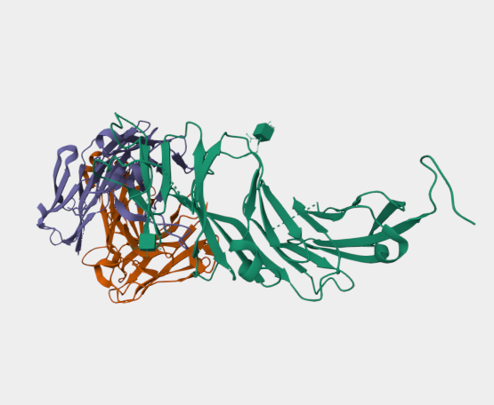 Anti-CD19 [6D5](MABL-3478)