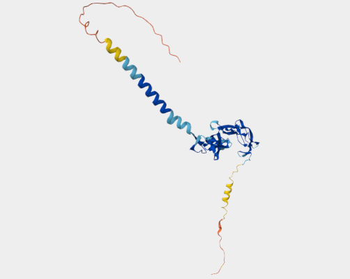 Anti-HVEM [HMHV-1B18](MABL-3479)