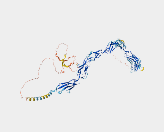 Anti-CD22 [OX-97](MABL-3481)