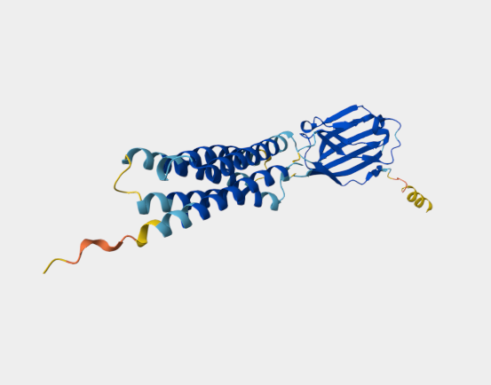 Anti-CD47 [mIAP301](MABL-3482)