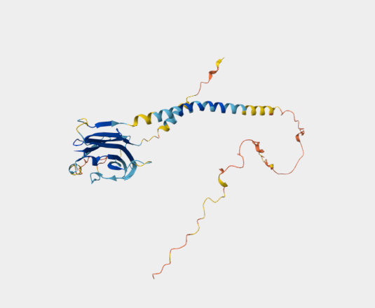 Anti-PD-1H [mam82](MABL-3486)
