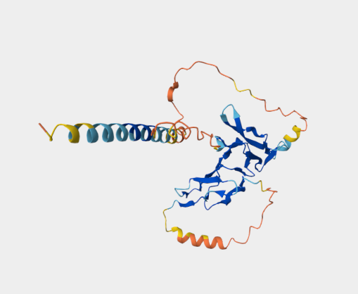 Anti-CD25 [2E4](MABL-3492)