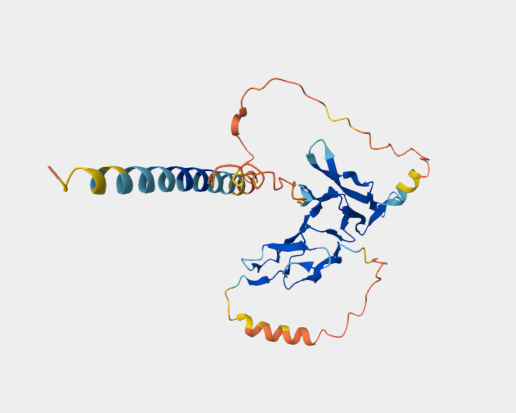 Anti-CD25 [7D4](MABL-3493)