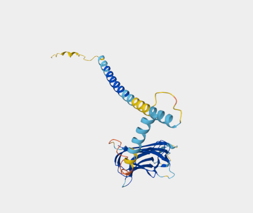 Anti-CD40L [MR1](MABL-3494)