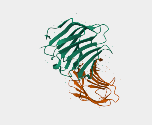 Anti-Galectin 9 [RG9-35](MABL-