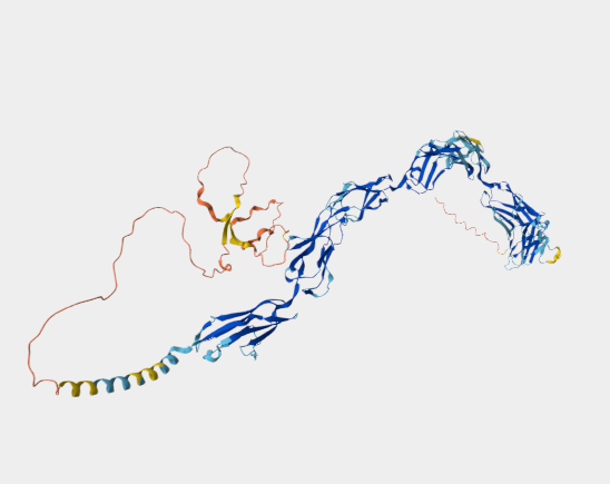 Anti-CD22 [OX-97](MABL-3497)