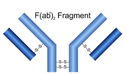 F(ab')2 Micro Preparation Kit
