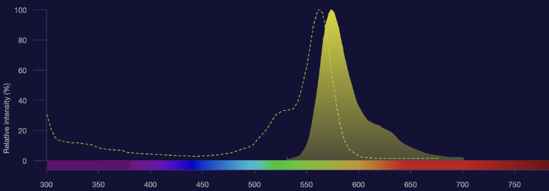 IMG_202510251948_799x279.png