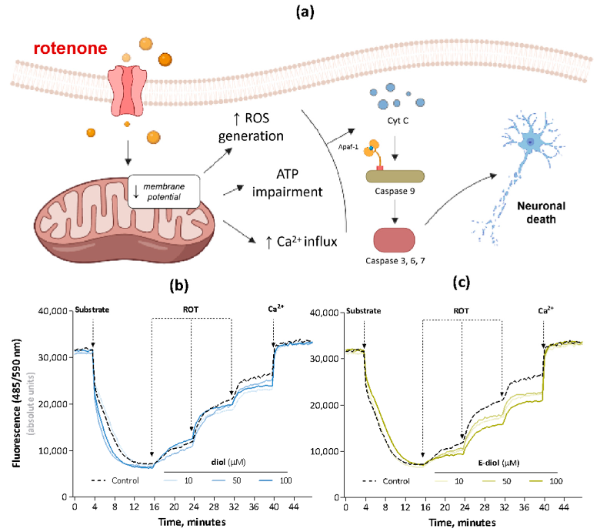 帕金森病动物造模：鱼藤酮